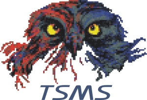 tsms_mail_logo